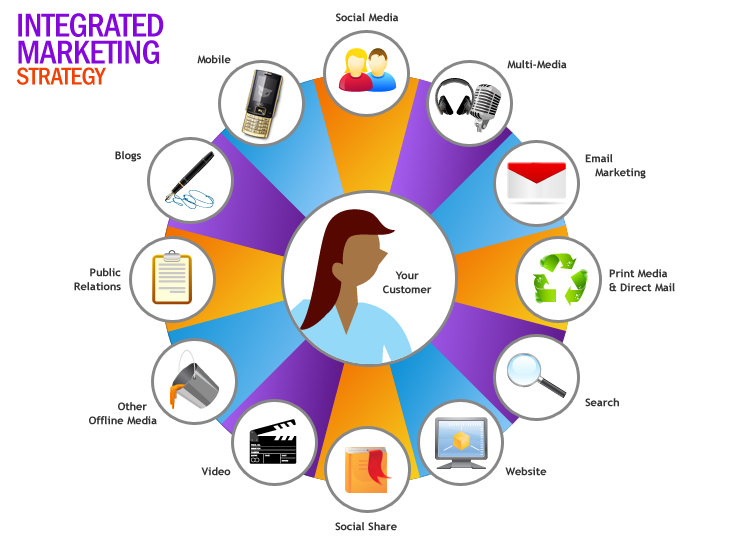 What are the 5 components of IMC?