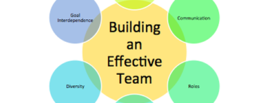 What are the 5 roles of an effective team?