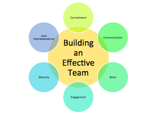 What are the 5 roles of an effective team?