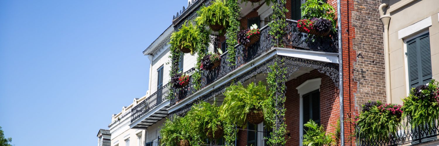 What area should I stay in New Orleans?