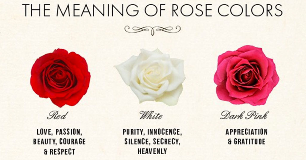 What color of rose means love?