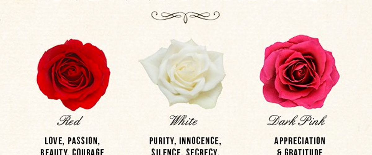 What color of rose means love?