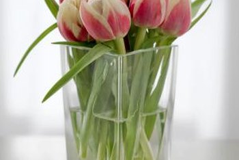 What do you put in water to make tulips last longer?