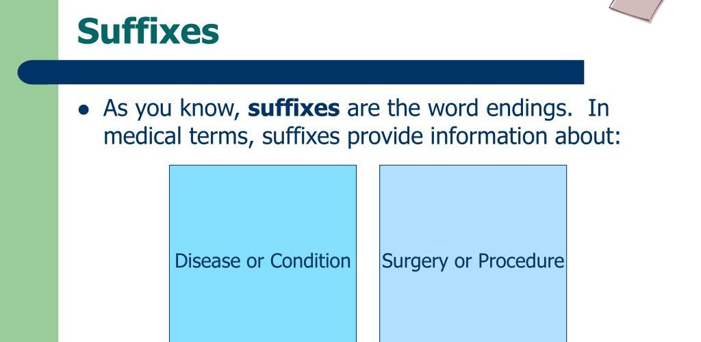 what-does-masses-mean-in-medical-terms