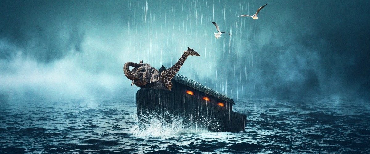 What does Noah and the Ark teach us?