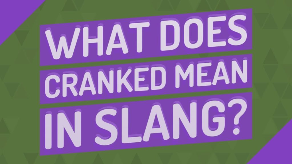 What does Stag mean slang?