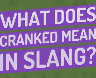 What does Stag mean slang?