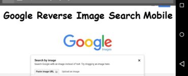 What does reverse image do?