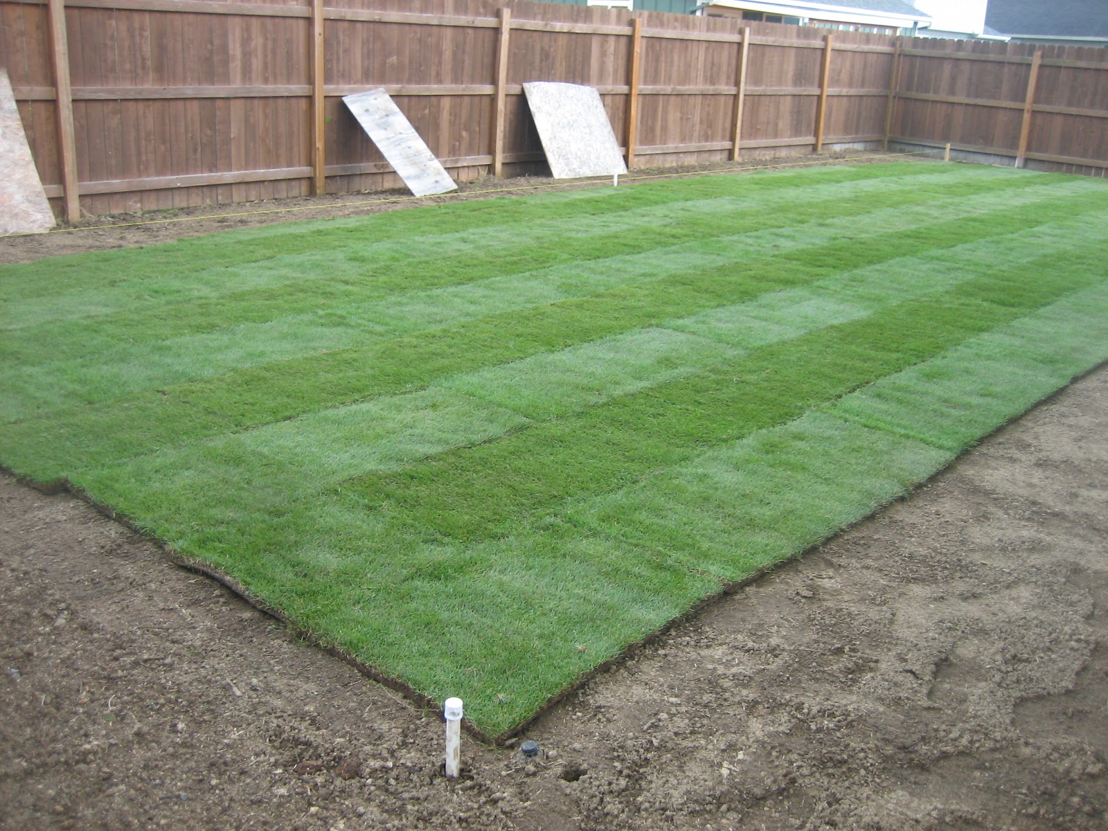 How Much Is 1000 Sq Ft Of Artificial Grass