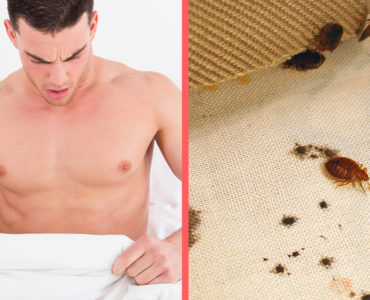 What happens when you give notice to marry?