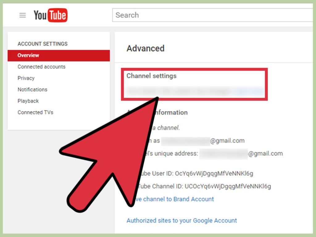 What is YouTube Live URL?