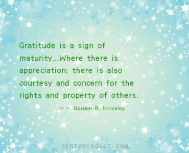 What is a good sentence for gratitude?