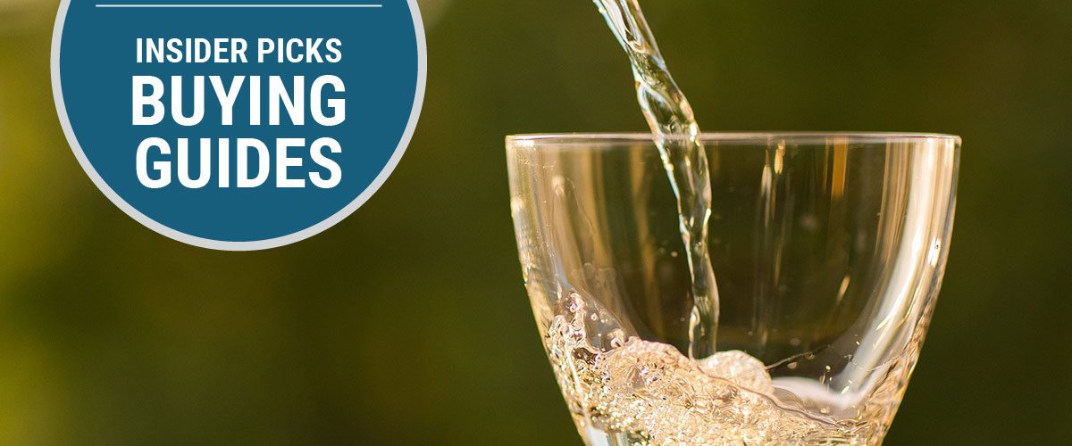 What is the best champagne glasses?