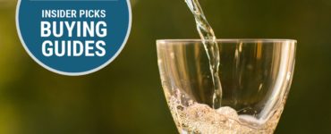 What is the best champagne glasses?