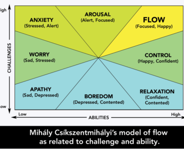What is the flow state in psychology?