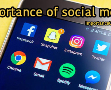 What is the importance of media?