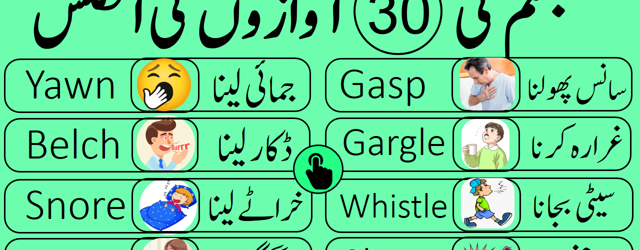 What is the meaning of Hasim in Urdu?