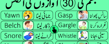 What is the meaning of Hasim in Urdu?