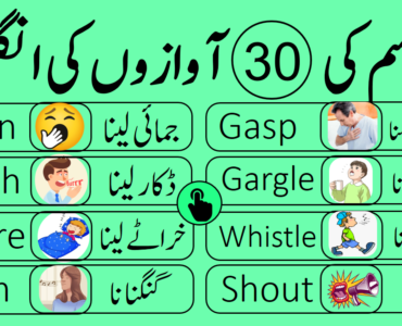 What is the meaning of Hasim in Urdu?