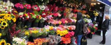 What is the target market for a flower shop?