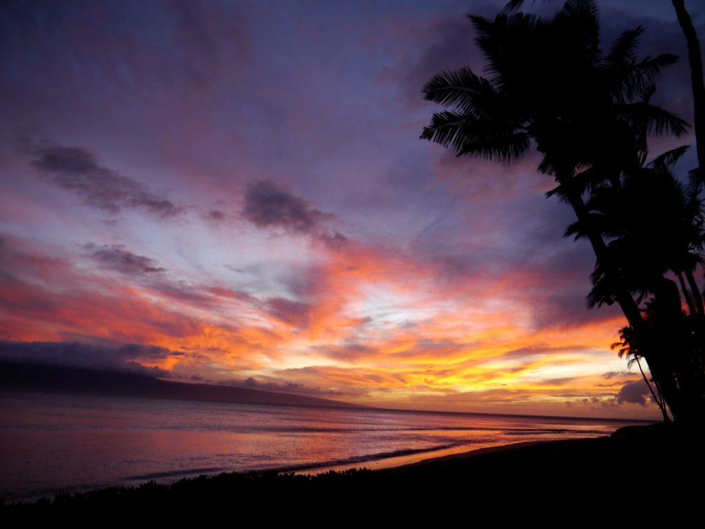 What is there to do in Maui at night?