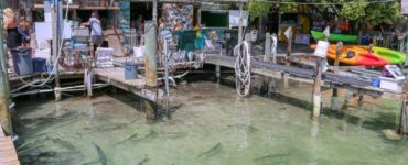 What is there to see between Key West and Key Largo?