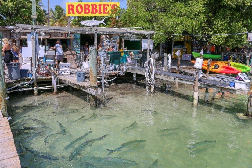 What is there to see between Key West and Key Largo?