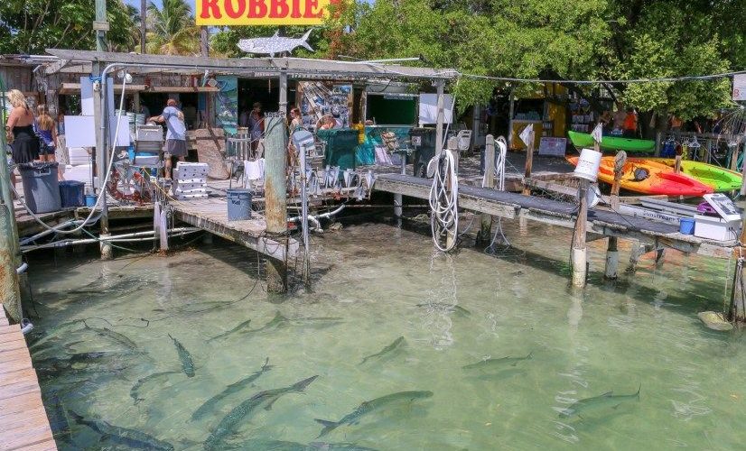 What is there to see between Key West and Key Largo?