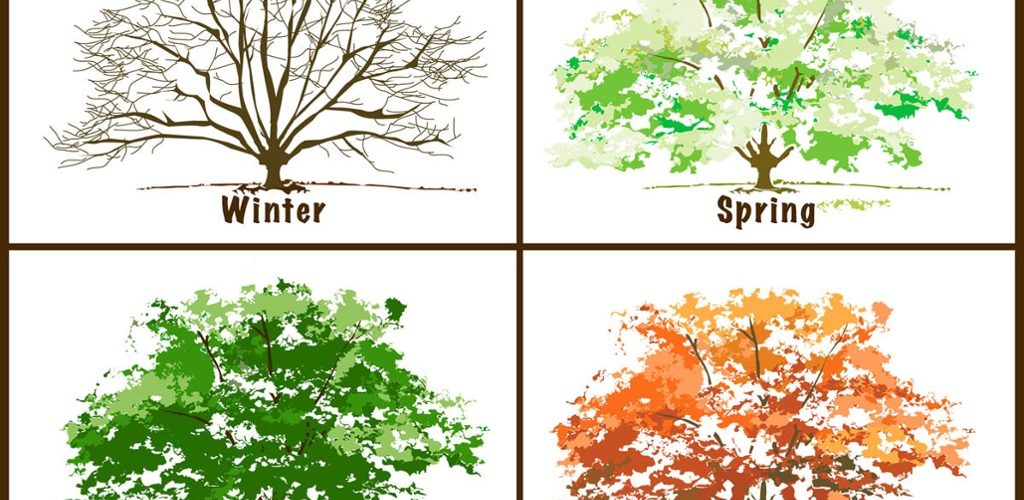What seasons are the Four Seasons?