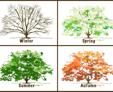 What seasons are the Four Seasons?
