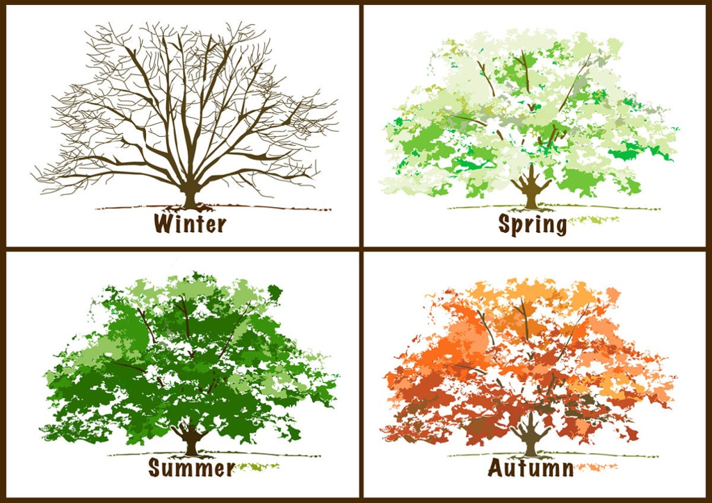 What seasons are the Four Seasons?