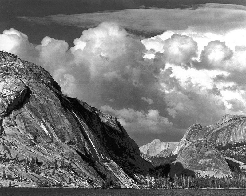 What was Ansel Adams most expensive picture?