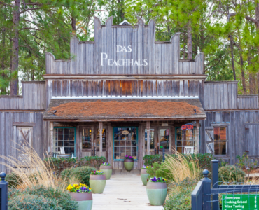 When should I go to Fredericksburg TX?