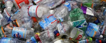 Where do you turn in plastic bottles for money?