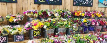 Where does Trader Joe's get their flowers from?