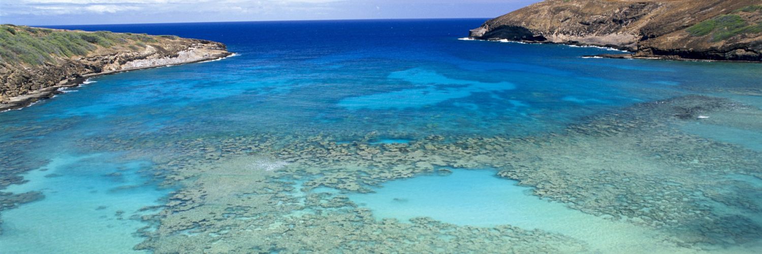 Which Sandals Resort has the clearest water?