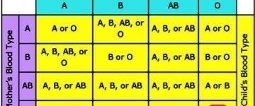 Which blood group should not marry each other?