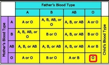 Which blood group should not marry each other?