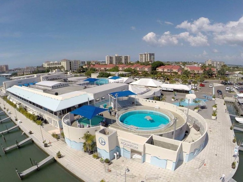 Which is better Florida Aquarium or Clearwater Aquarium?