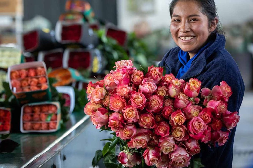 Who has the best deal on roses?