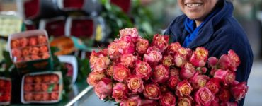 Who has the best deal on roses?