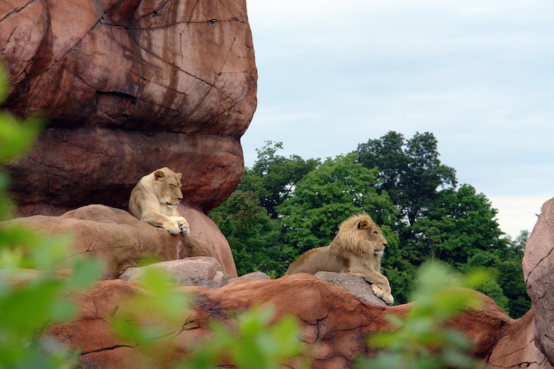 Who has the biggest zoo in the United States?