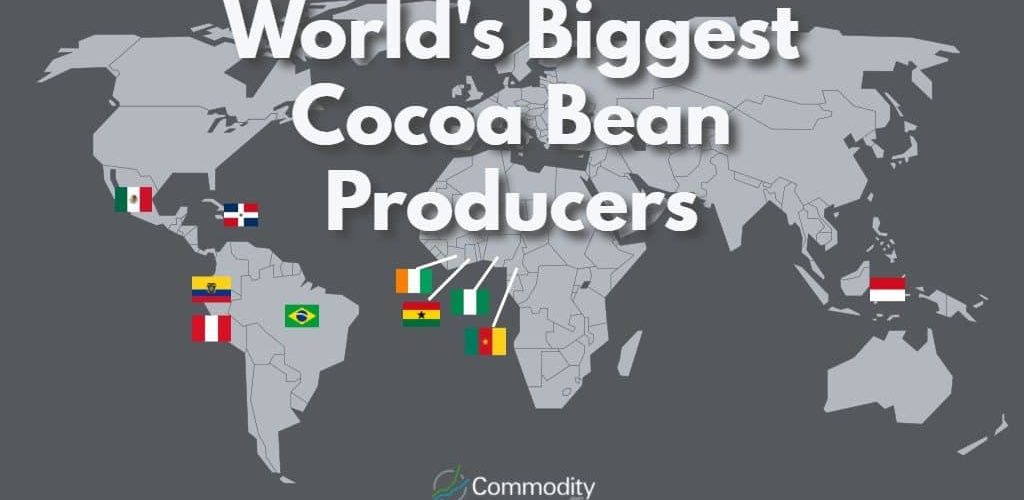 Who is the largest producer of cocoa?