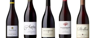 Why Pinot Noir is the best?