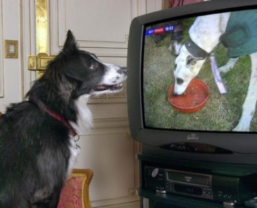 Why can't I watch Facebook live on my TV?